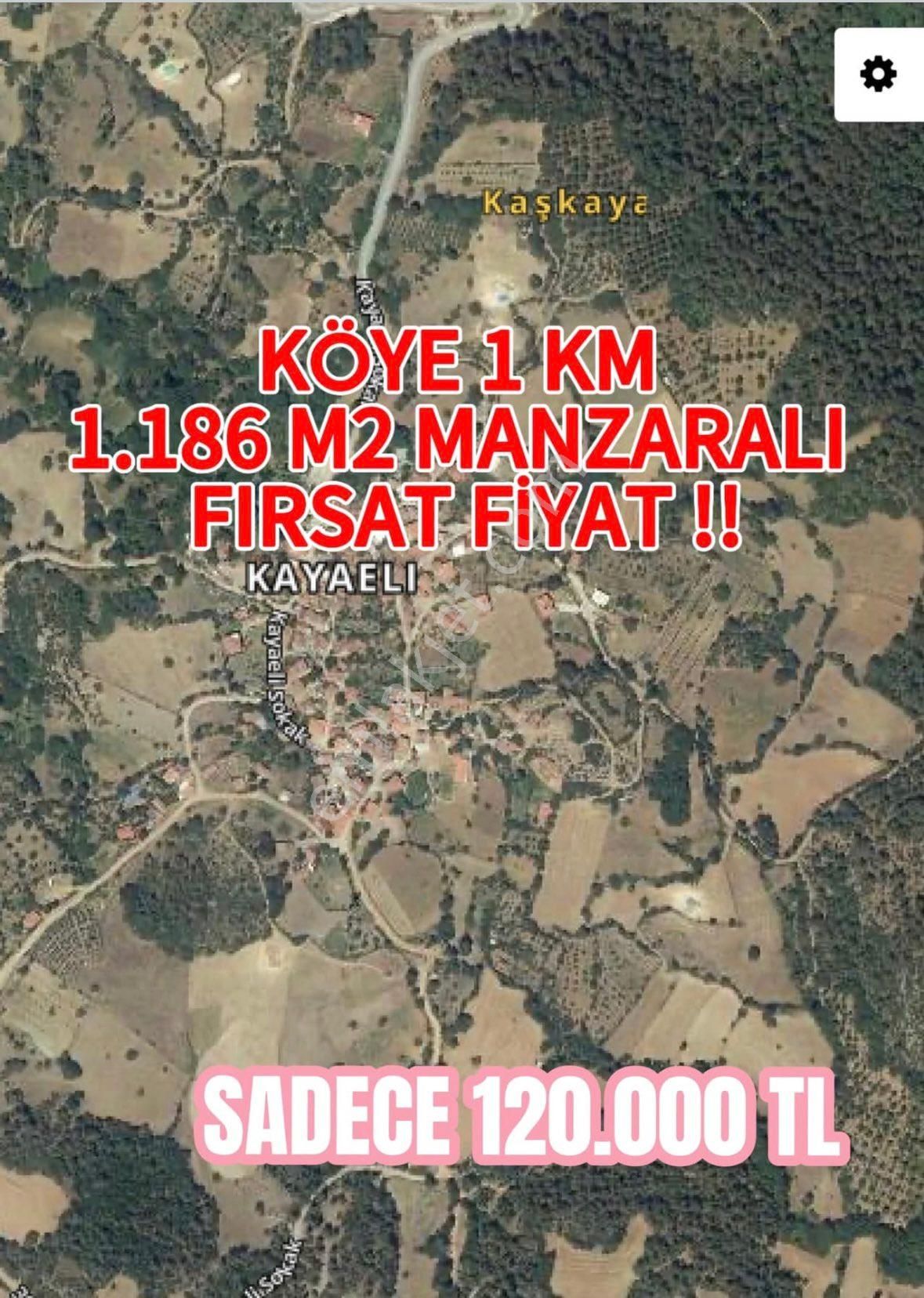 Kepsut Kayaeli Satılık Tarla Balıkesir Kepsut Kayaeli Mah.1.186 M2 Arazimiz Fırsat Fiyat!!