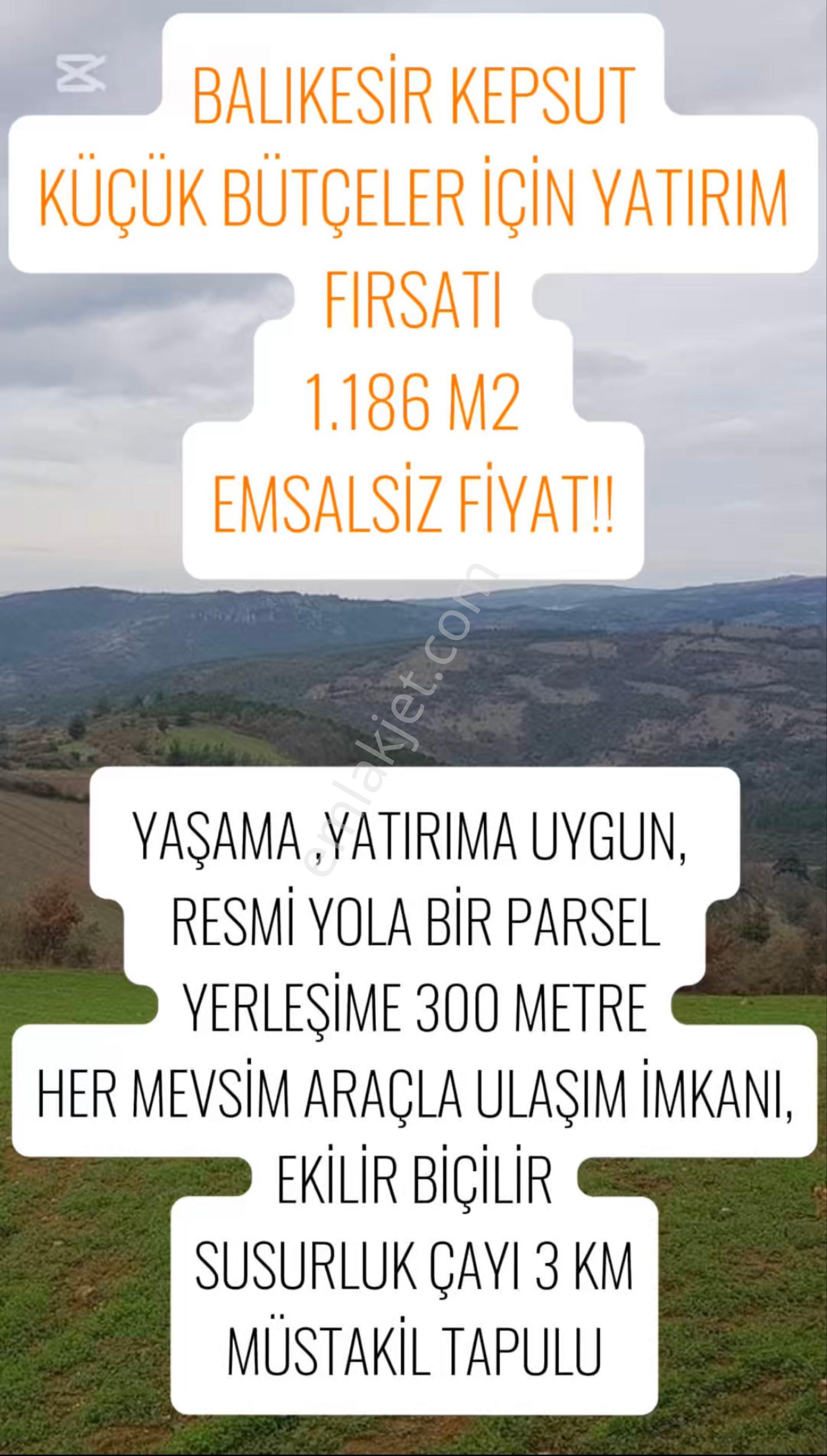 Kepsut Kayaeli Satılık Tarla 👉fiyat Düştü!!🚀 Balıkesir Kepsut Kayaeli Mah.1.186 M2 Arazimiz Fırsat Fiyat!!