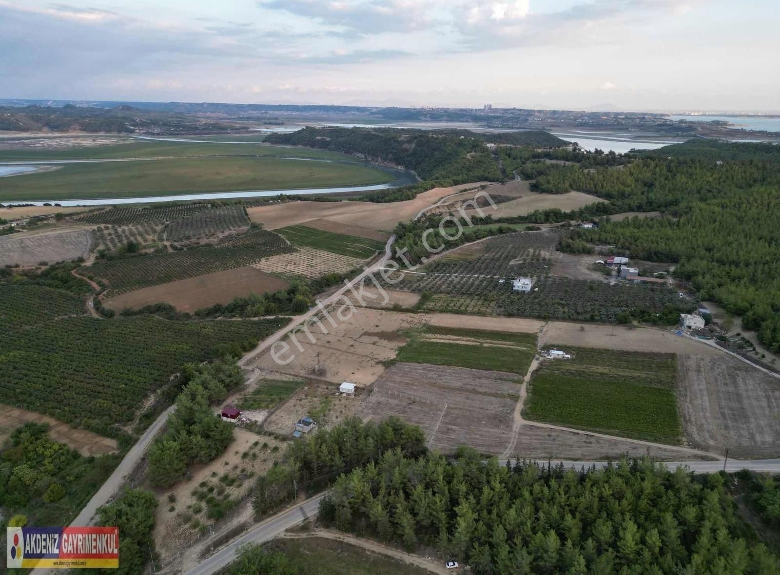 Çukurova Örcün Satılık Tarla Çatalan Köprüsüne Yakın Ana Yol Üzeri Etrafı Çevrili Cazip Tarla