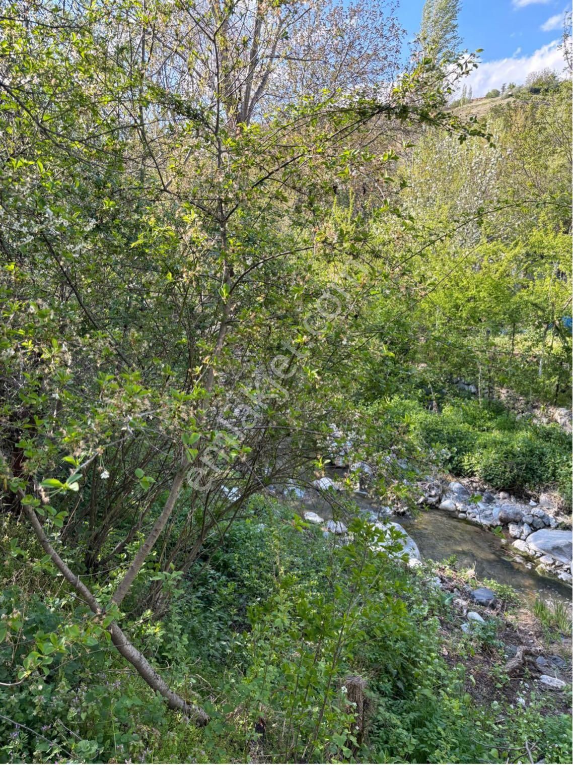 Mamak Kıbrısköy Satılık Bağ & Bahçe Kıbrıs Köyde Hobi Bahçelik Ve Yatırımlık 100 Metre Satılık Arsa!