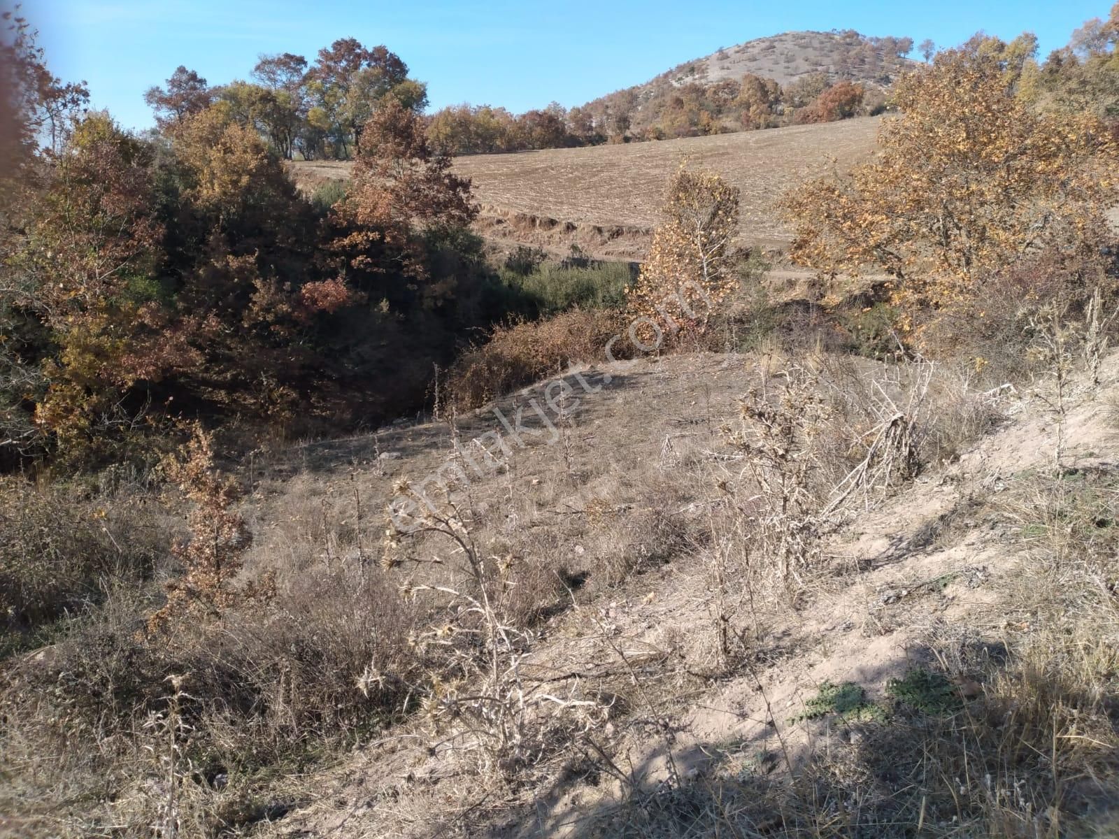 Sındırgı Kepez Satılık Tarla Balıkesir Sındırgı Kepez De Satılık Köye Yakın Yatırımlık Tarla