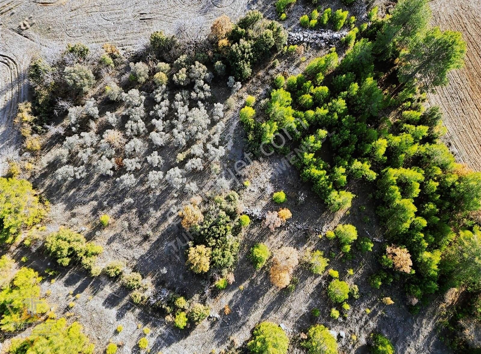 Menteşe Yeniköy Yerkesik Satılık Tarla Turasay Gayrimenkul'den Satılık Tarla