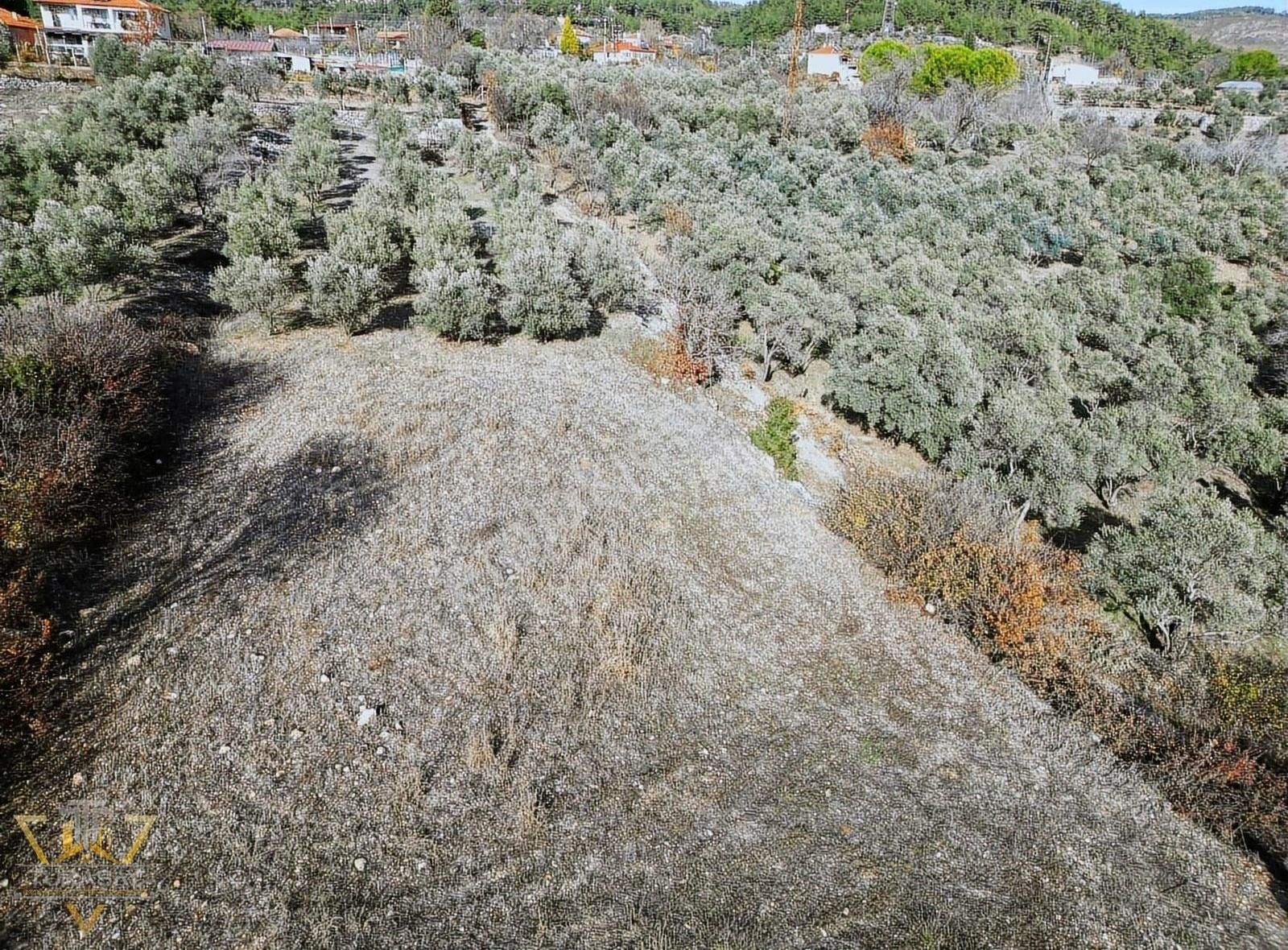 Menteşe Yeniköy Yerkesik Satılık Tarla Turasay Gayrimenkul'den Kaçırılmayacak Yatırım Fırsatı