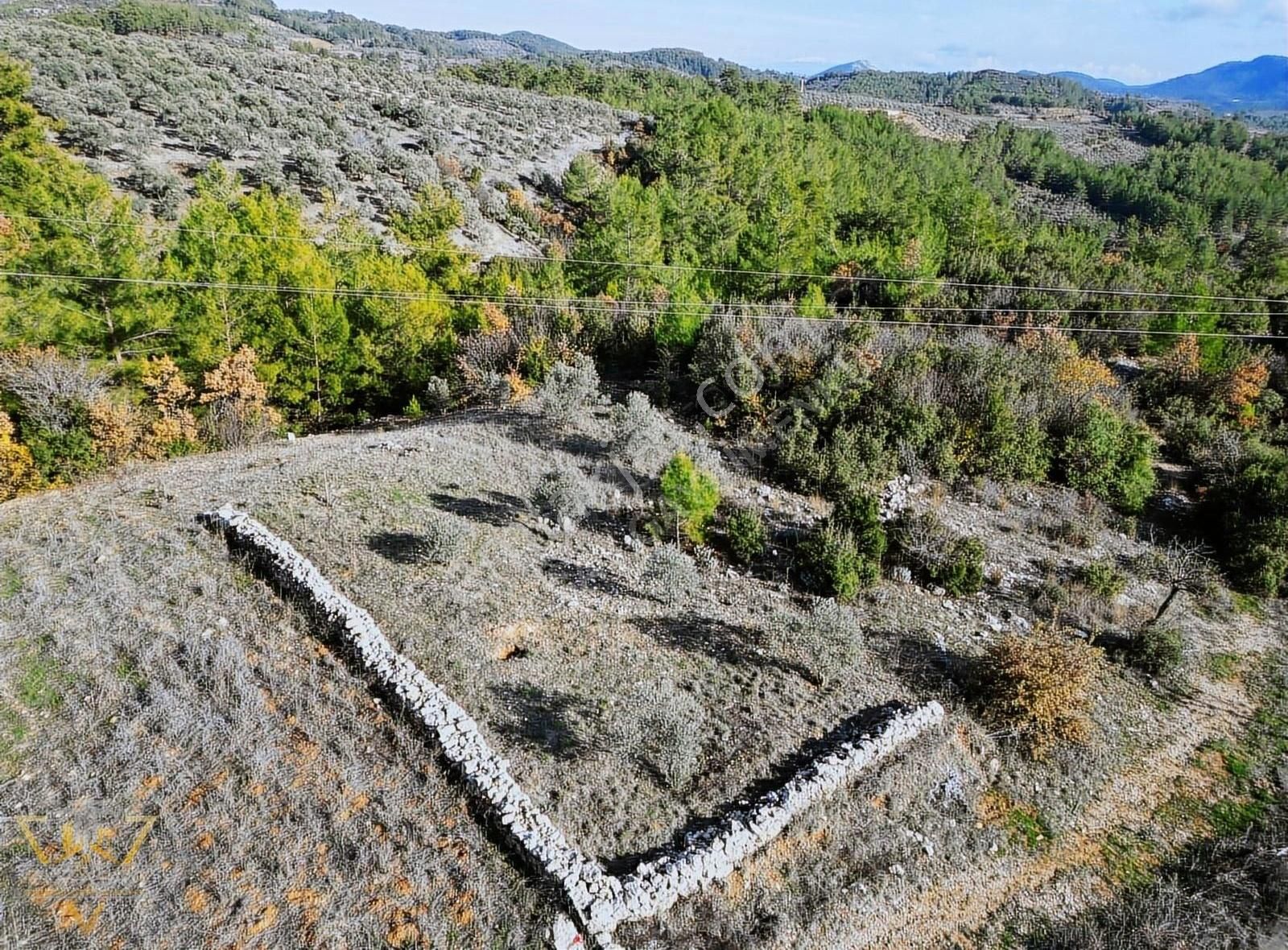 Menteşe Yeniköy Yerkesik Satılık Tarla Turasay Gayrimenkul'den Kısa Süre İçin Geçerli Fırsat