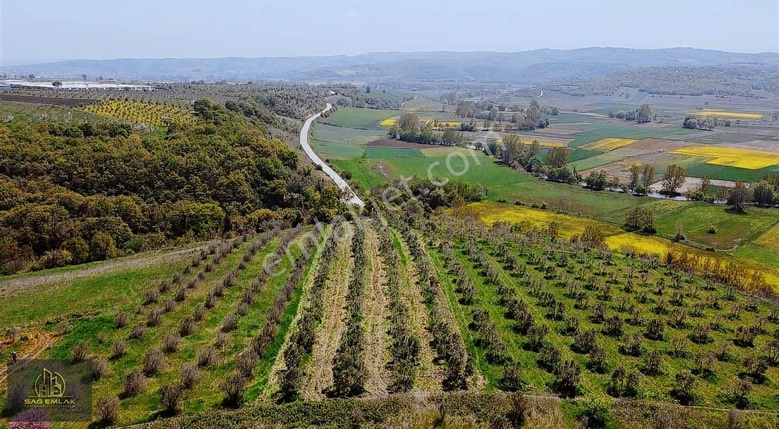 Mudanya Yörükyenicesi Satılık Tarla Yörükyenicede Satılık 3362m2 Satılık Tarla