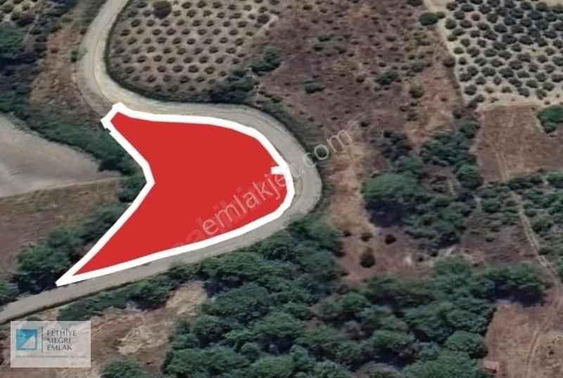 Seydikemer Villalar Bölgesinde Satılık 2460m2 Arazi - Görsel 3