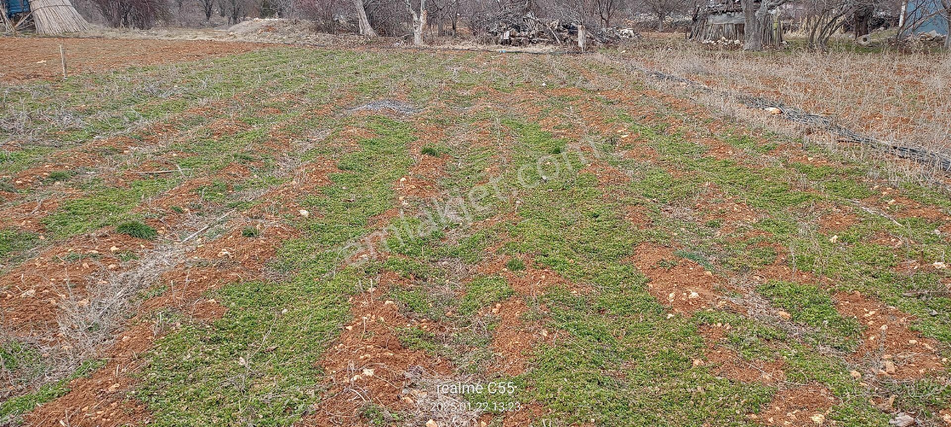 Harfilli Mahallesinde Satılık Villalık İmarlı Parseller - Görsel 6