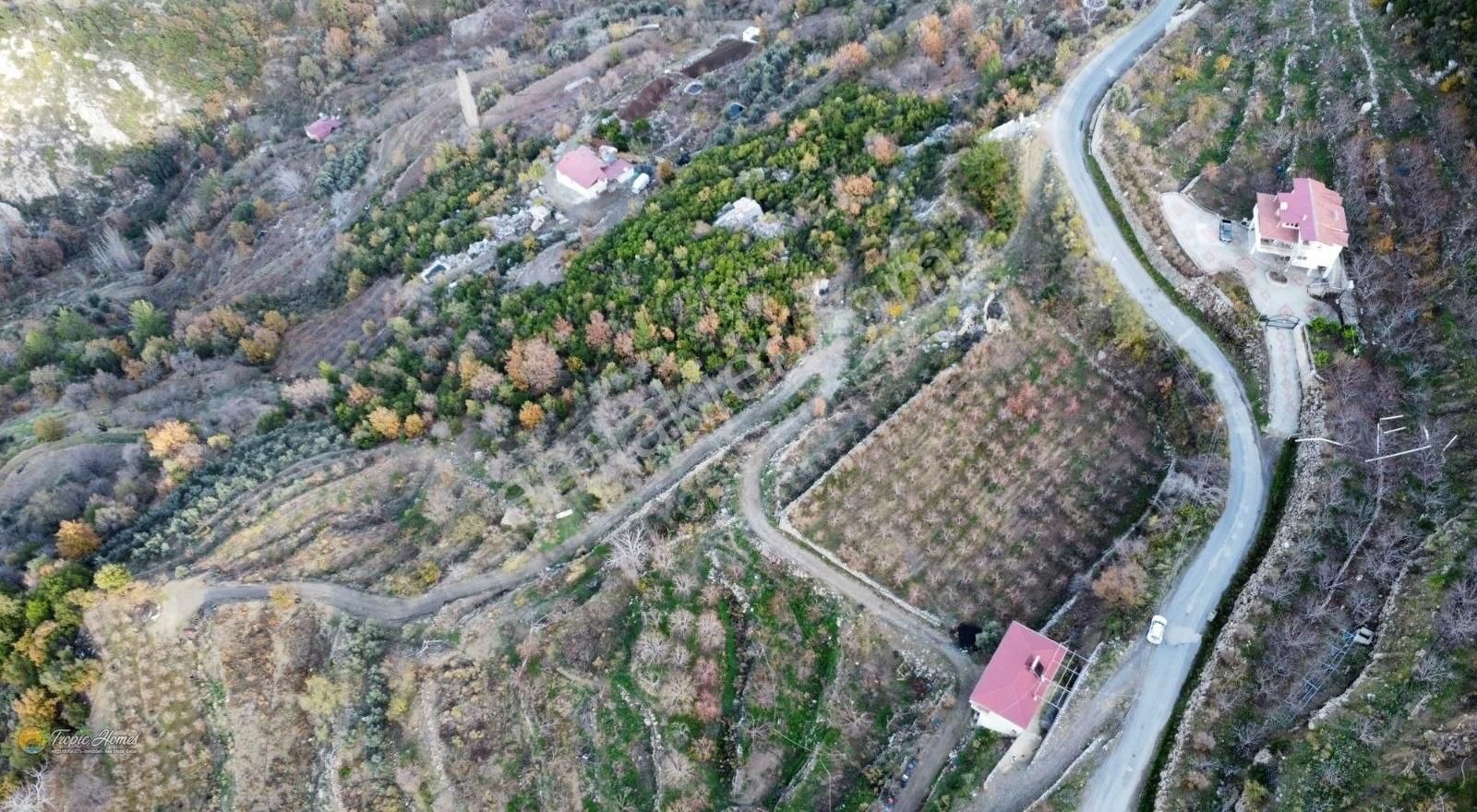 Gazipaşa Doğanca Satılık Tarla Gazipaşa Doğanca Mahallesi'nde Ceviz, Nar Ve Kivi Bahçesi