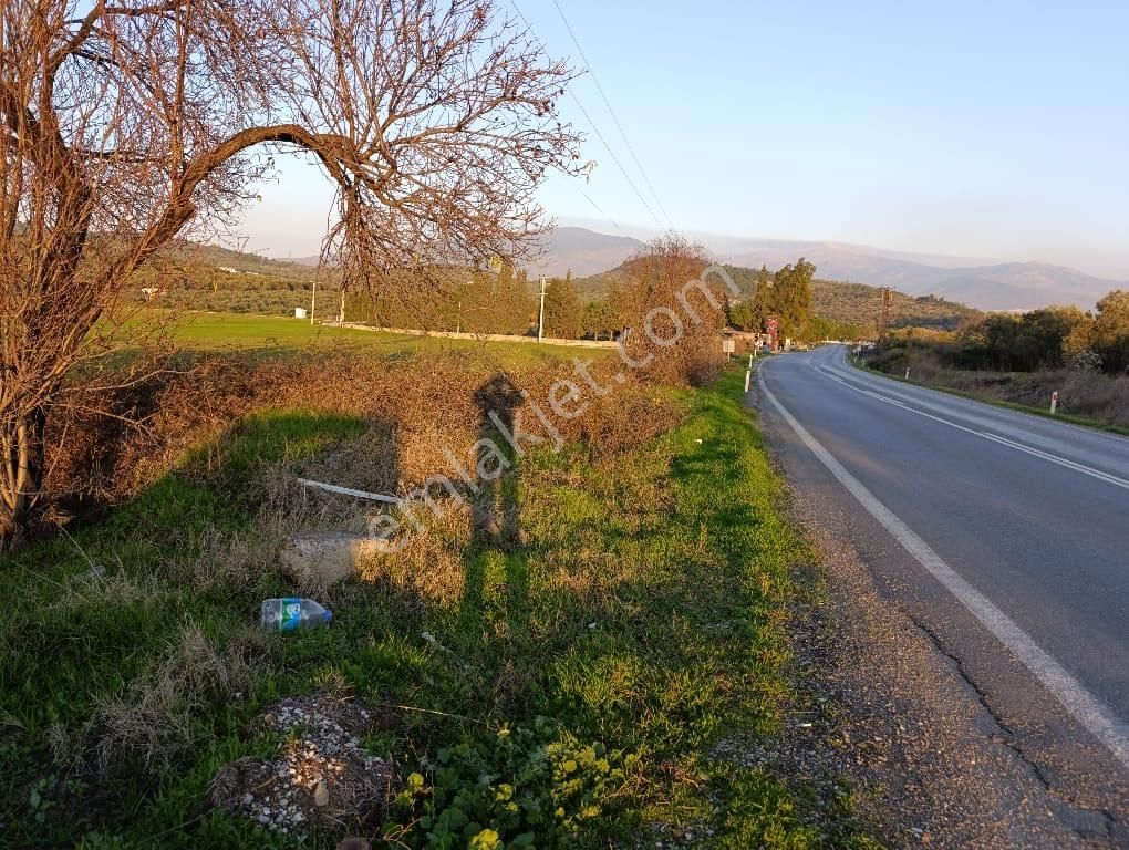 Aliağa B. Hayrettin Paşa Satılık Tarla Foça İzmir Yoluna Cepheli Satılık Tarla