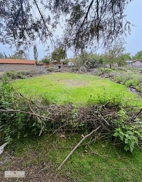 İvrindi Erdel Satılık Bağ & Bahçe Balıkesir İvrindi Erdel Köyünde Harika Yatırım Fırsatı