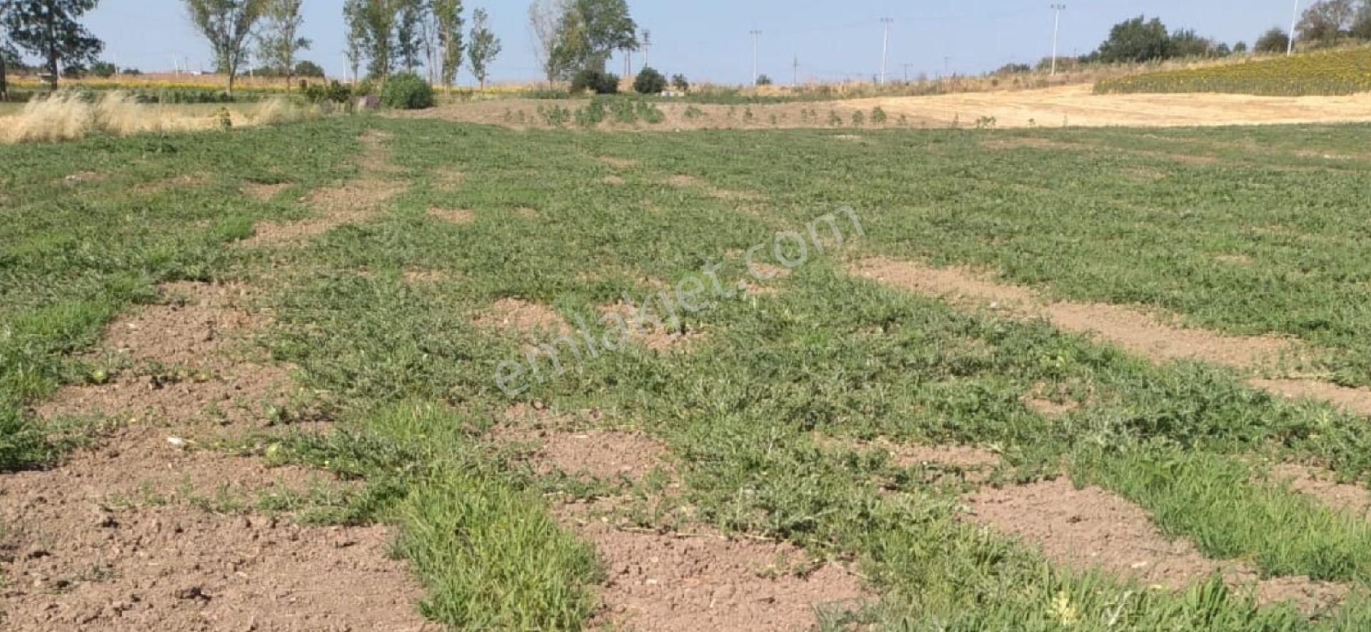 Şarköy Yeniköy Satılık Tarla Tekirdağ Şarköy Yeniköyde Yatırımlık İmardibi Güzelkonumda Satılık Tarla