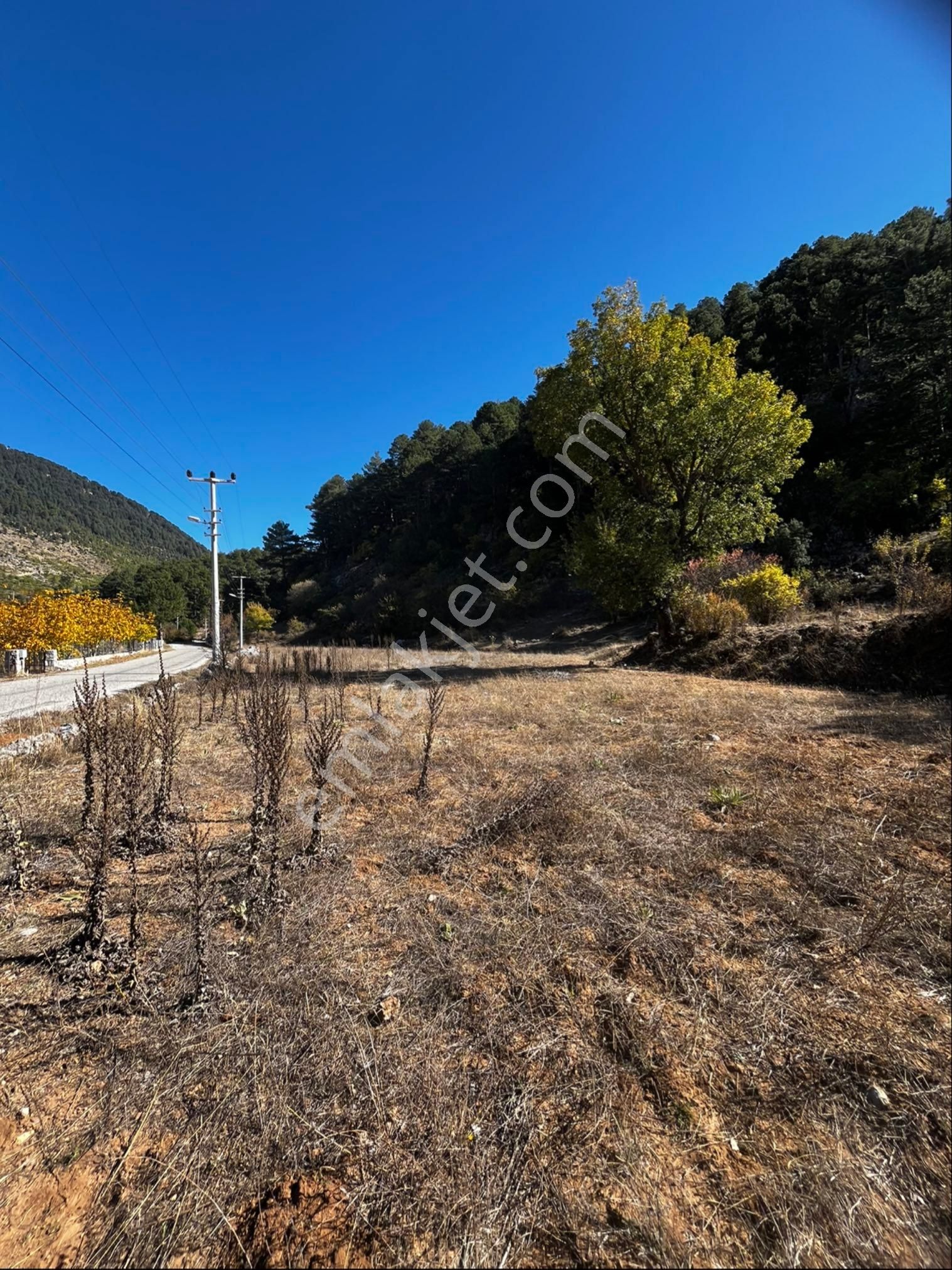 Fethiye Koruköy Satılık Tarla Yayla Koru Köyde Takasa Açık Anayola Cepheli Tarla