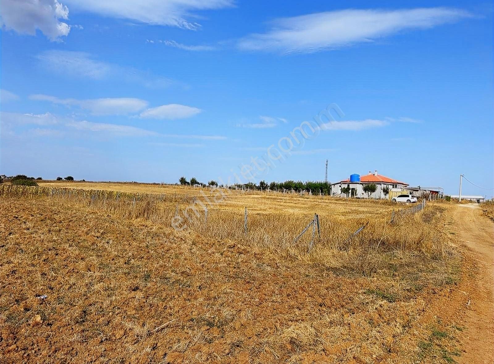 Lüleburgaz Ertuğrul Köyü Satılık Tarla Kırklareli Lüleburgaz Ertuğrul Köyde Arsa