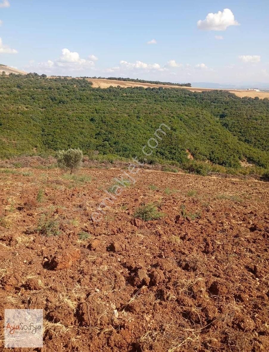 Kıranlarda Satılık 10 Dönüm Tarla - Görsel 5