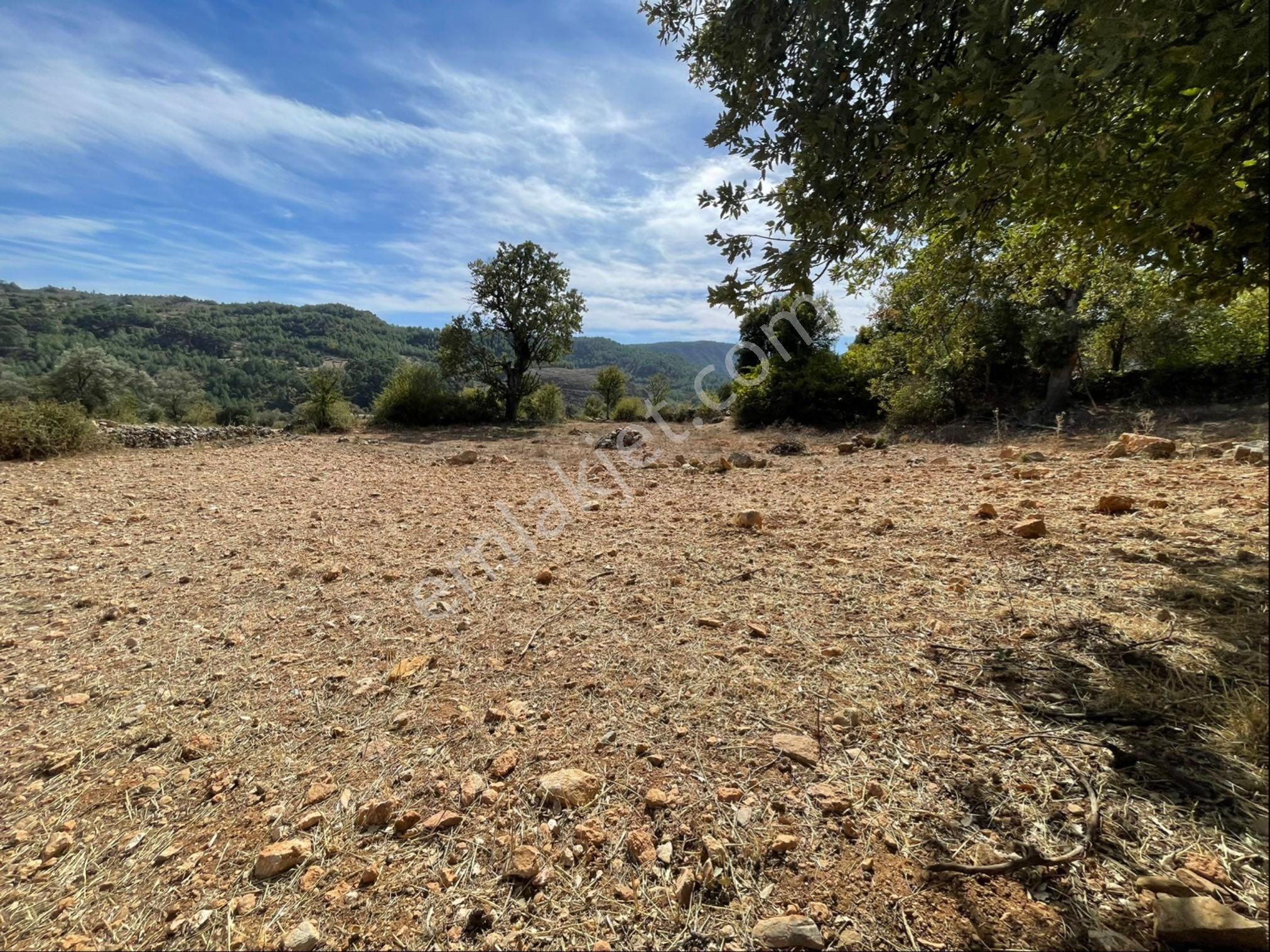 Menteşe Çatakbağyaka Satılık Konut İmarlı Muğla Menteşe Bağyaka Da İmarlı 520 M2 Arsa