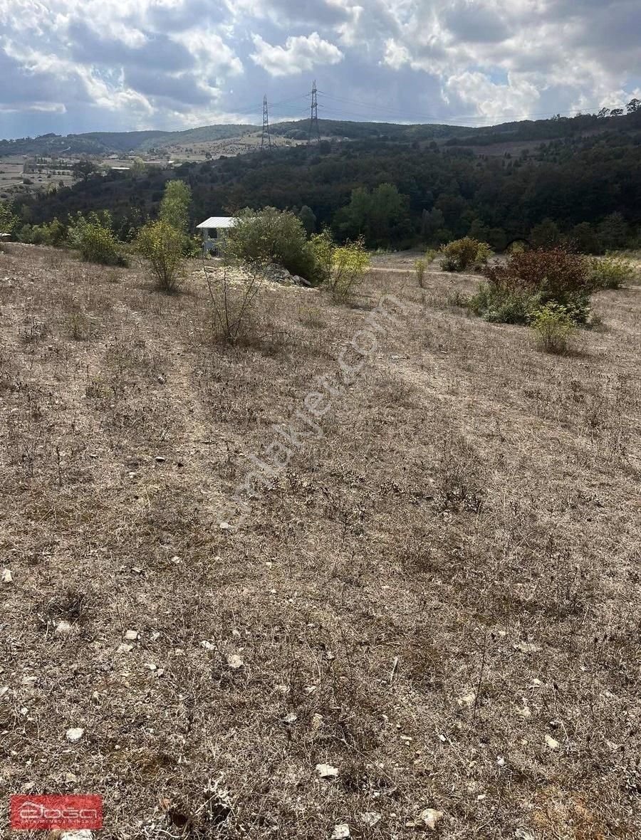 Kandıra Ağaçağıl Satılık Tarla Şok Yatırımcıya Kandıra Ağaçağıl Köyün'de Satılık Tarla