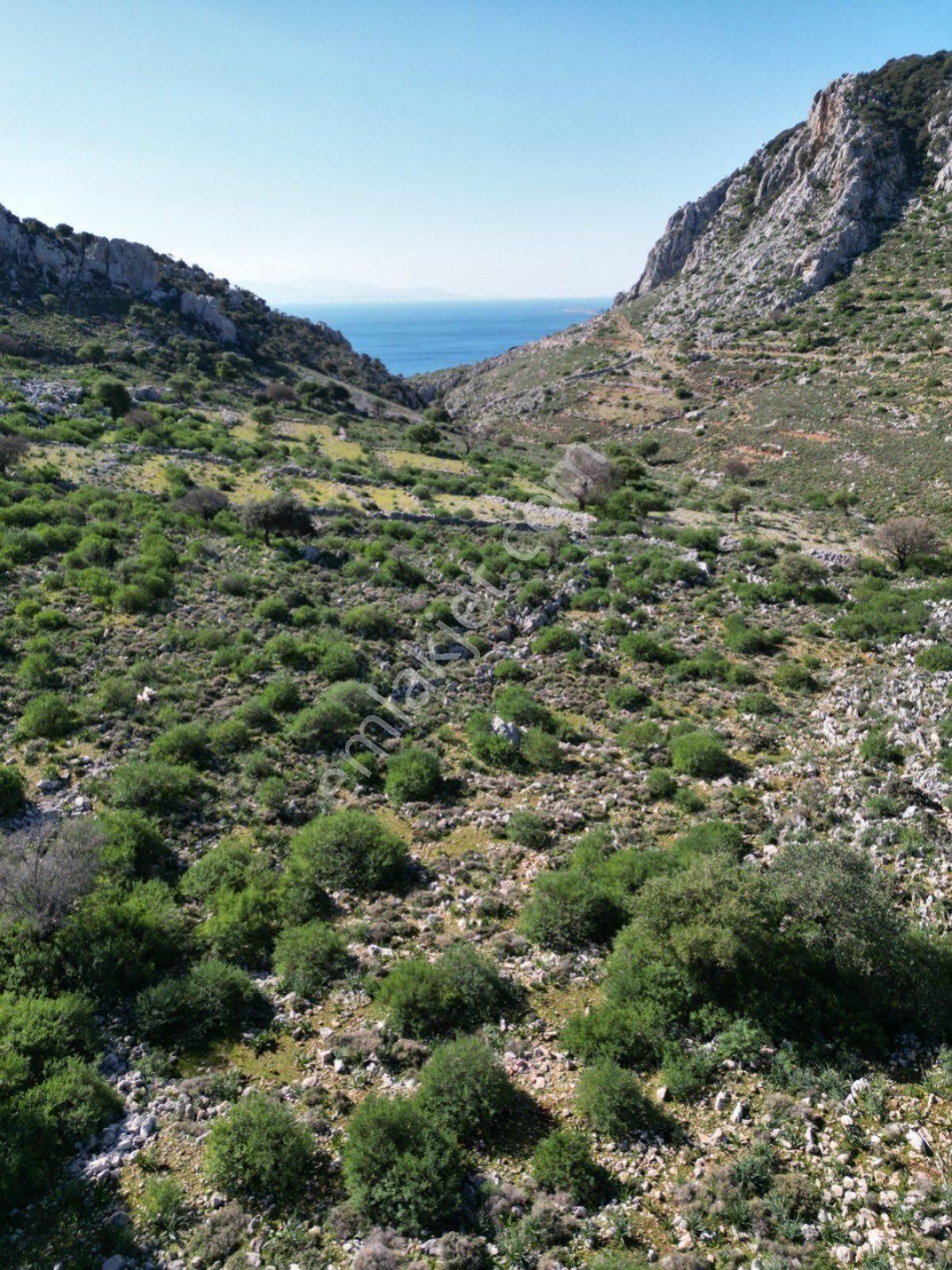 Marmaris Taşlıca Satılık Tarla Taşlıca' Da Kelepir Satılık Deniz Manzaralı Tarla