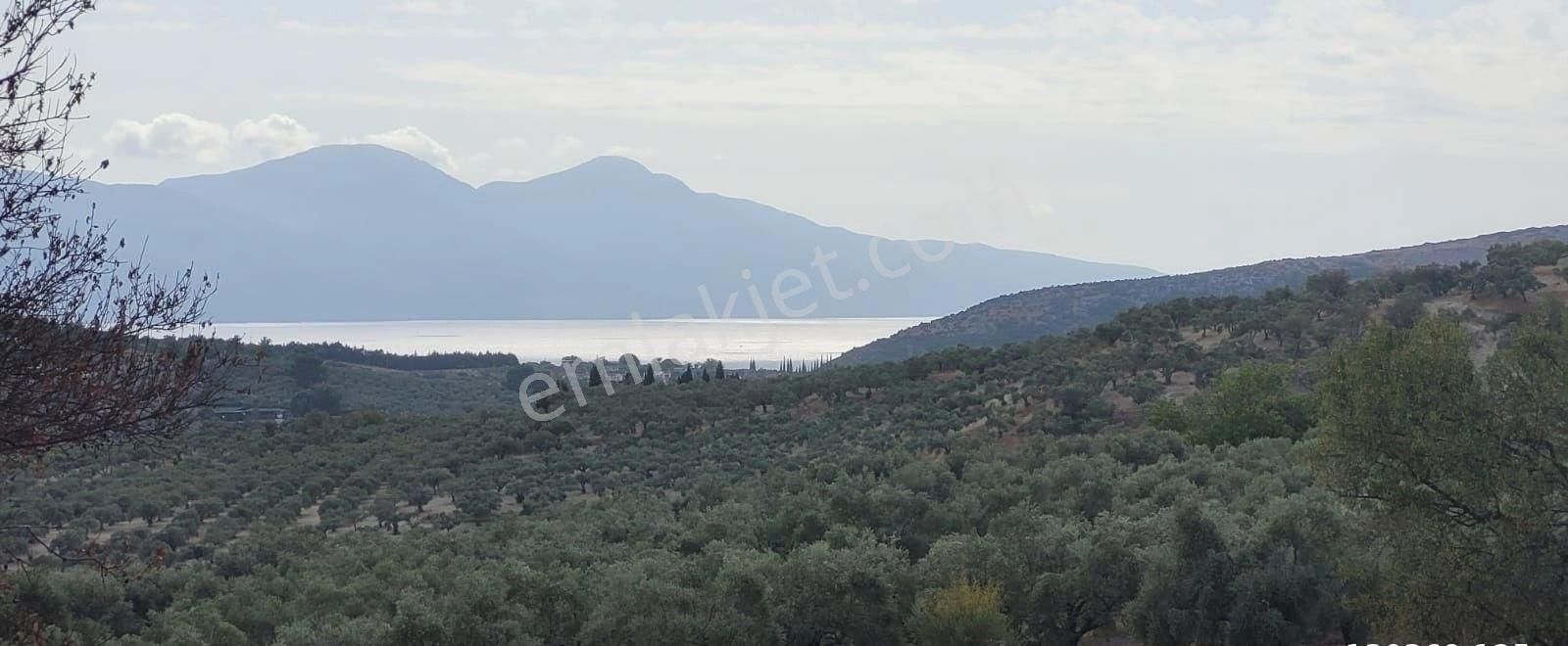 Kuşadası Ege Satılık Turizm İmarlı Aydın Kuşadası Türkmen Mah.eko Turizm İmarlı 21dönüm Satılık