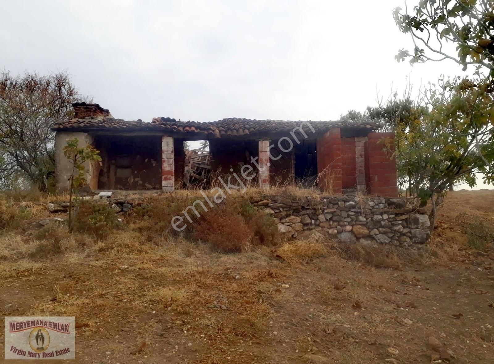 Aydın/germencik/balatçık Mah.de 12.728m2 Bahçe Satılıktır - Görsel 4