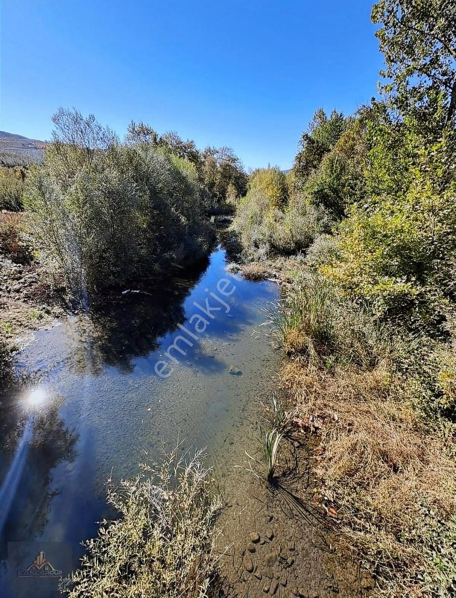 Bayramiç Çırpılar Köyü Satılık Tarla Çanakkale Bayramiç Cırpılar Köyunde Yol Kenarı Satılık Tarla