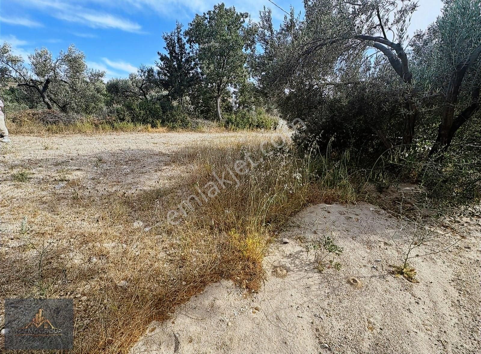 Ezine Tavaklı Köyü (Tavaklı İskelesi) Satılık Konut İmarlı Çanakkale Ezine Tavaklı Sahilinde Satılık İmarlı Arsa