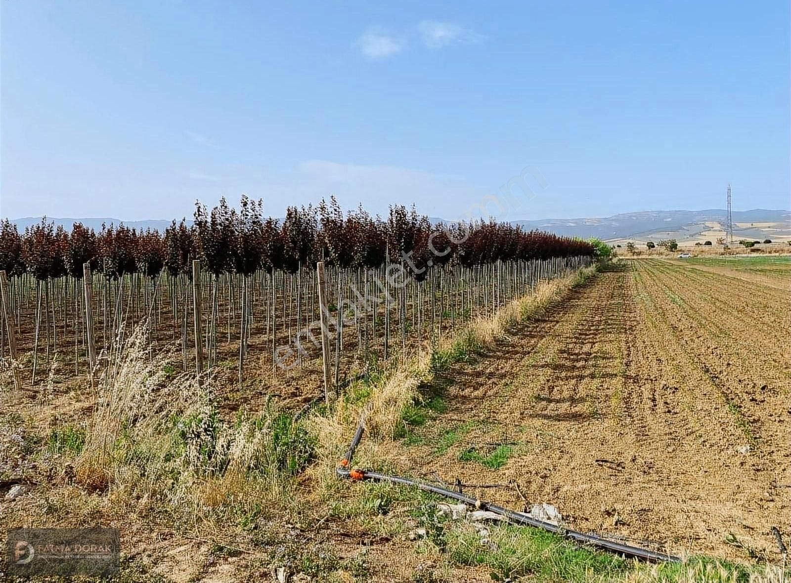 Yenişehir Karacaali Satılık Tarla Fatma Dorak'tan Bursa Yenişehir Karacaali'de Satılık Tarla