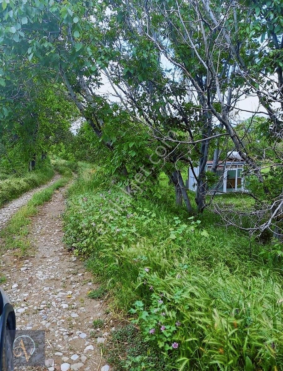 Burdur Merkez Askeriye Köyü (Hal) Satılık Tarla Burdur Merkezde Bahçemiz Asfalta100m Kredi Kartı Satışımız Var