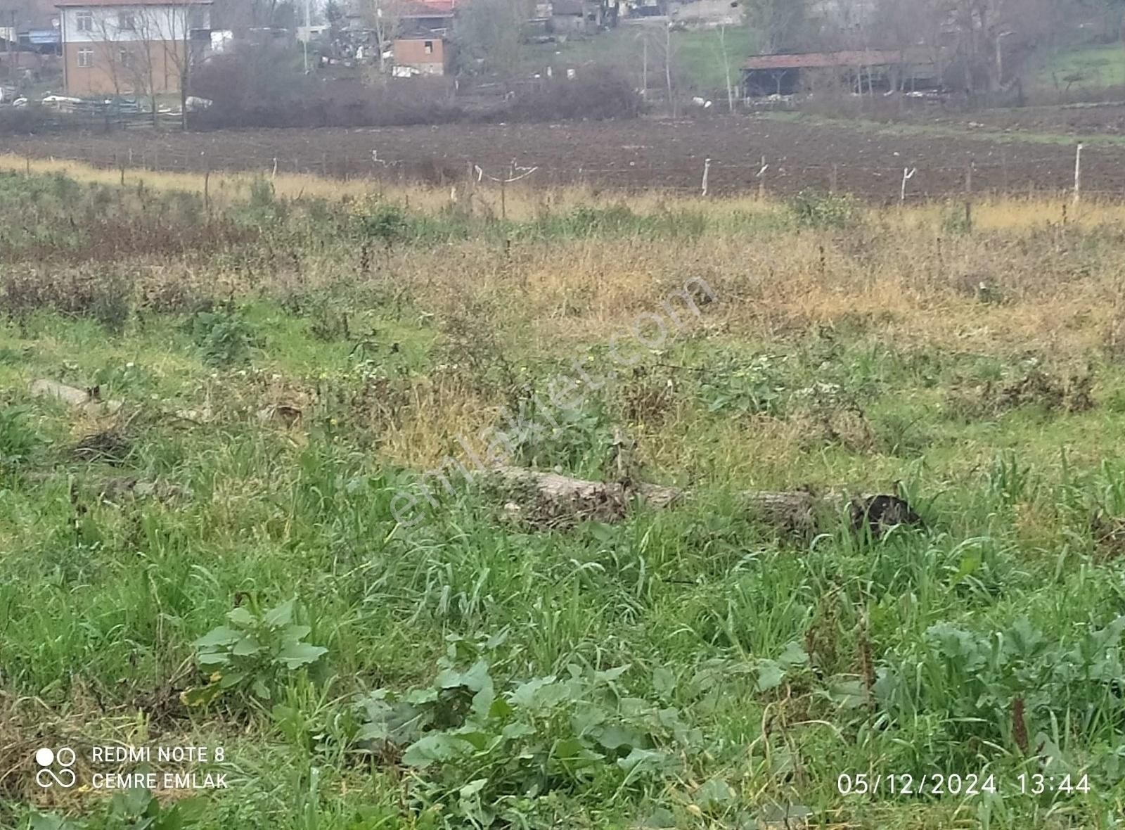 Adapazarı Evrenköy Satılık Tarla Evrenköy De Satılık Arsa