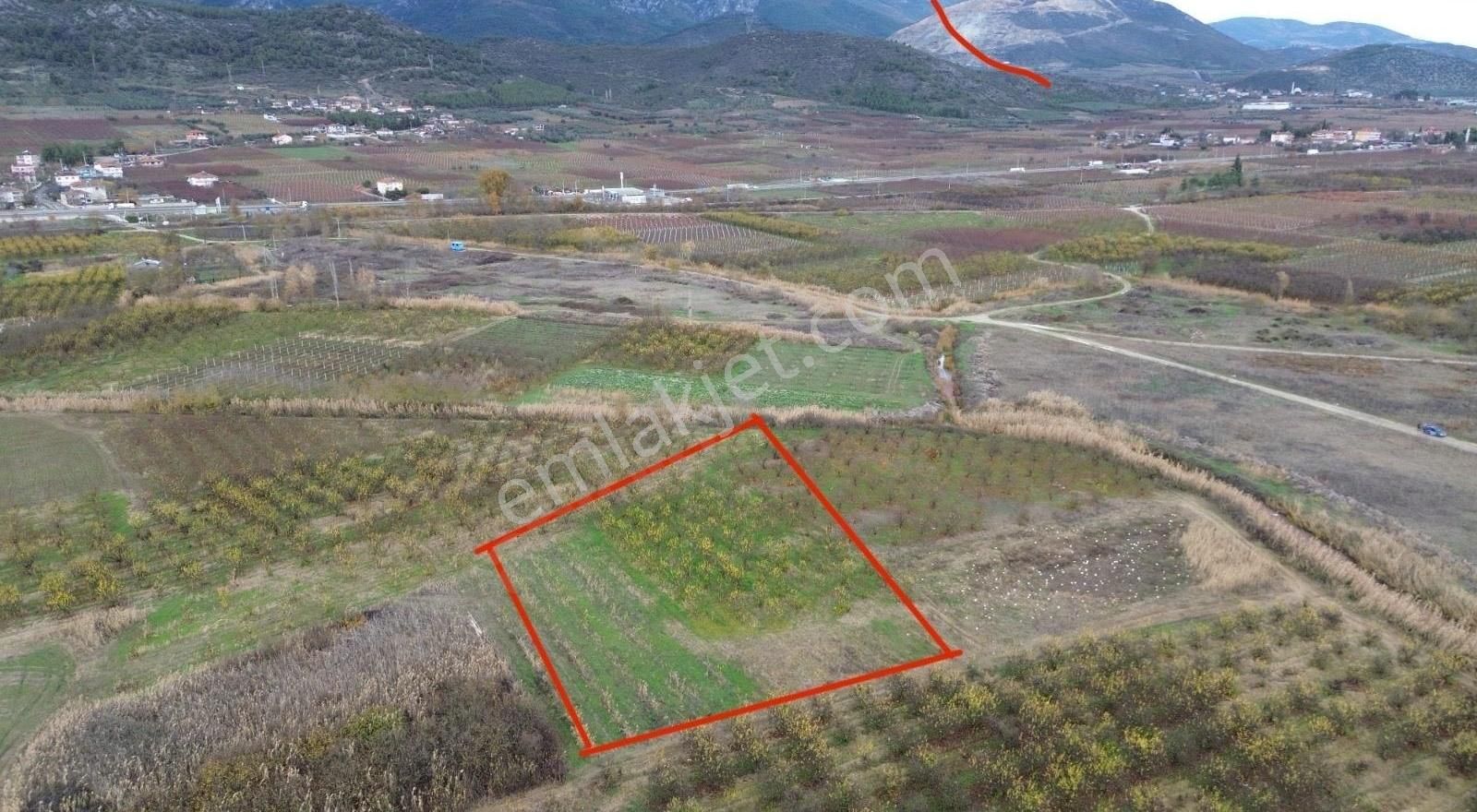 Pamukova Oruçlu Satılık Tarla Çalım Gyo'dan Pamukova Oruçlu'da 3294m2 Satılık Tarla