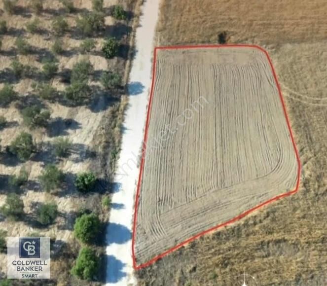 İskele Kilitkaya Köyü Satılık Konut İmarlı Kilitkaya'da 1338 M2 Arsa