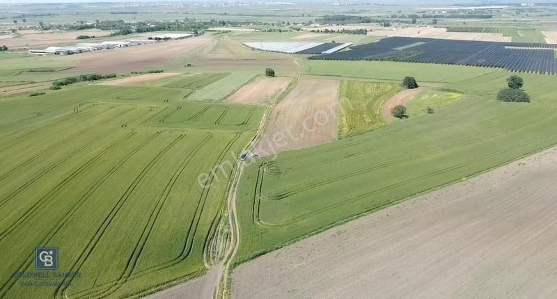 Lüleburgaz Müsellim Köyü Satılık Tarla Kırklareli Lüleburgaz Müsellim 714 M2