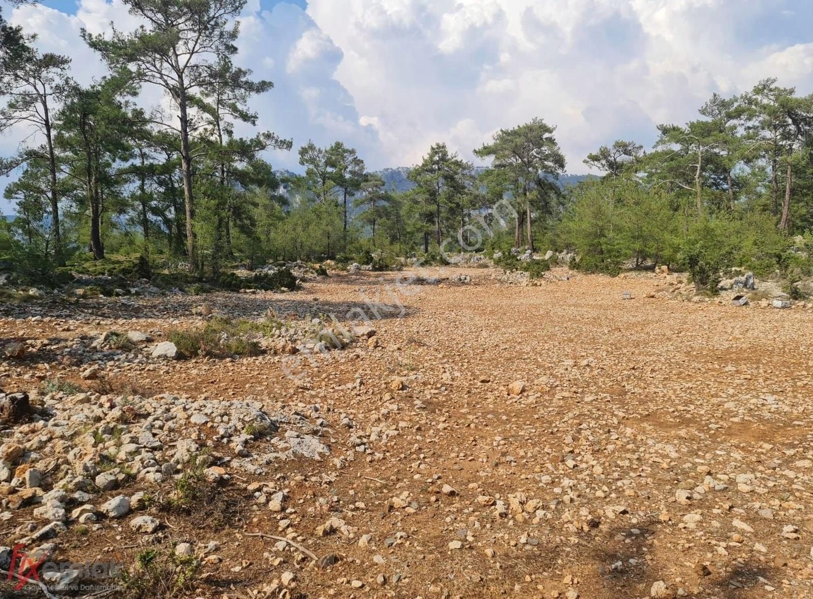 Milas Ören Satılık Tarla Örene 15 Km Deniz Manzaralı 5 Dönüm Çiftlik Arazisi