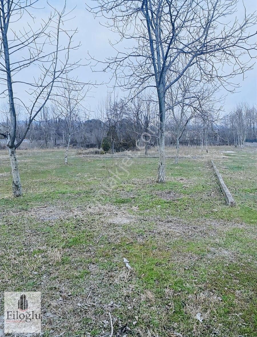 Sapanca Kırkpınar Soğuksu Satılık Turizm İmarlı Filoğlu Gayrimenkul Kırkpınar Merkezde Satılık Arsa..