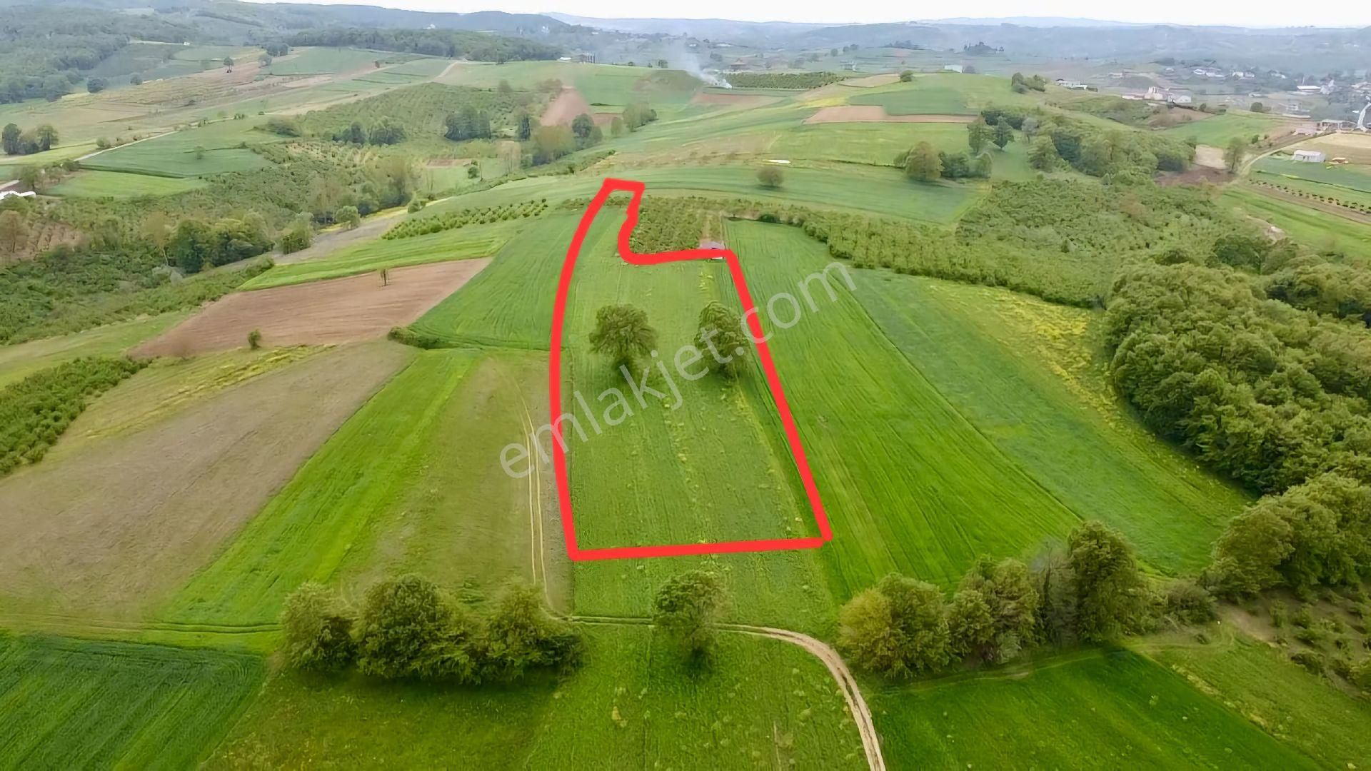 Kandıra Sinanlı Mah.de 4734 M2 %5 İmarlı Zirve Konumda Resmi Yol