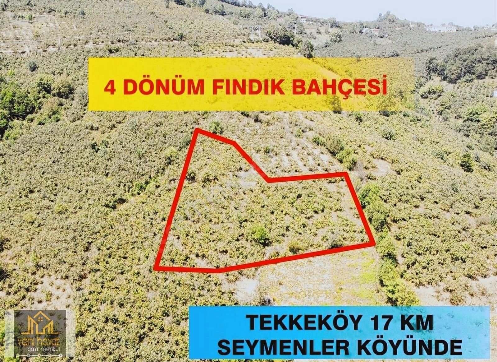 Tekkeköy Seymenler Satılık Tarla Tekkeköy Seymenlerde 4 Dönüm Komple Fındık Bahcesi