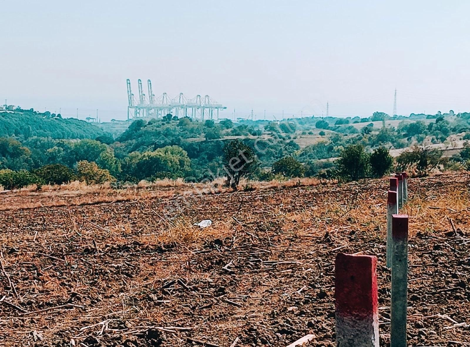 Süleymanpaşa Barbaros Satılık Bağ & Bahçe 250m2 Deniz Manzaralı Tepe Konum Çaplı Muvafakatnameli Yatırımlk