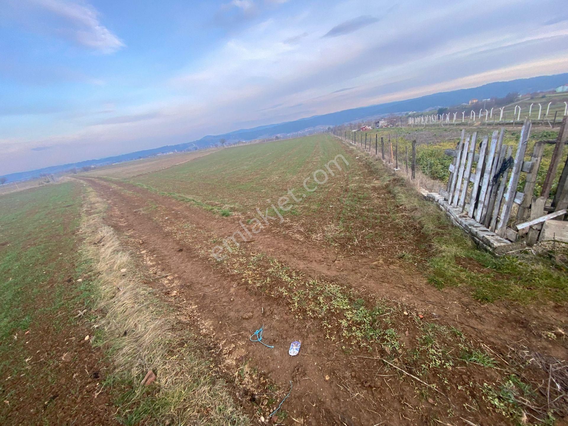 Kastamonu Merkez Akdoğan Köyü (Merkez) Satılık Tarla Yk Emlaktan Akdoğanlar Köyünde Satılık Tarla