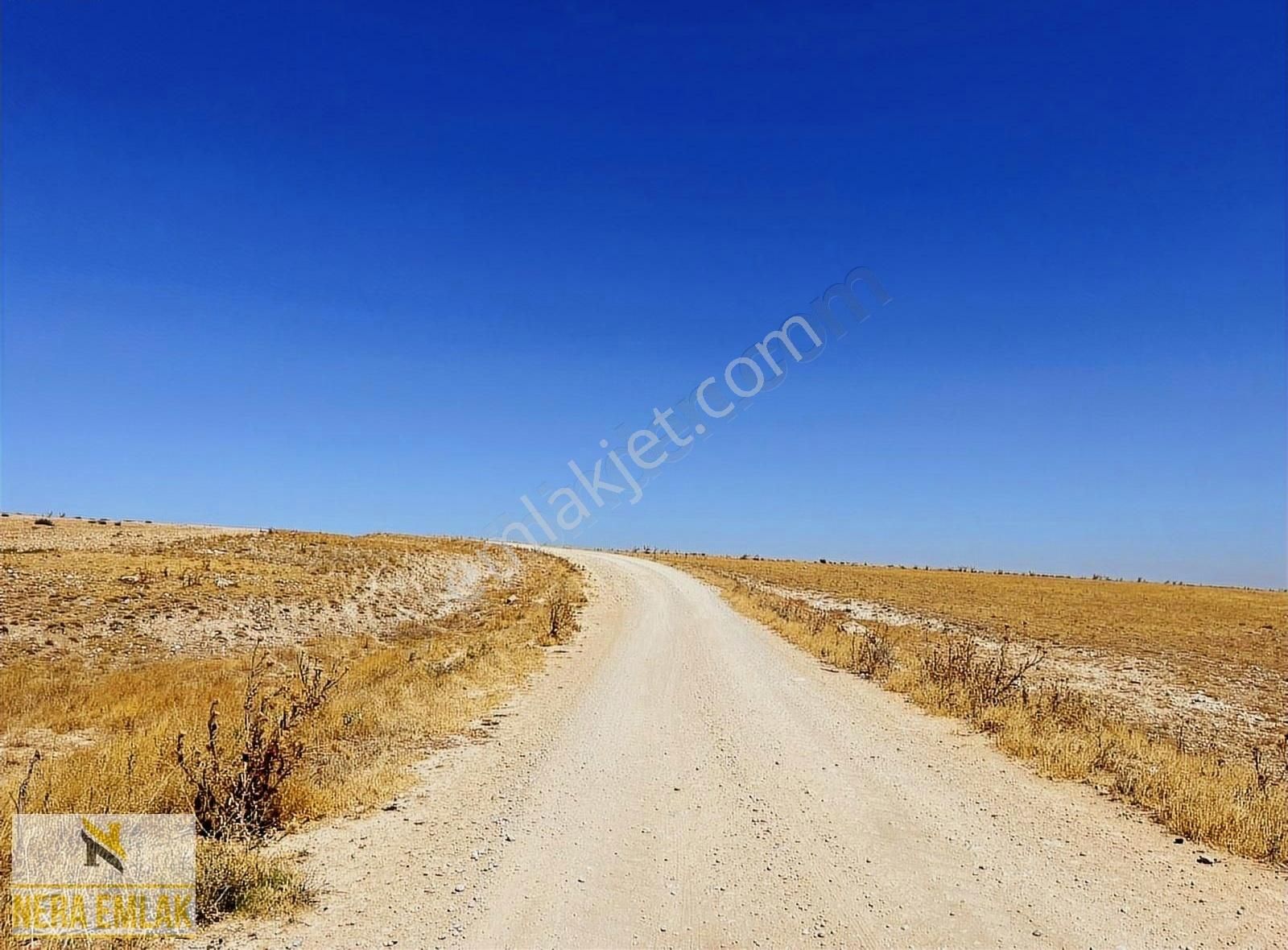 Cihanbeyli Hodoğlu Satılık Tarla Hayvancılık-çiftlik-yatırıma Uygun Kadastro Yol Cephe 18.400m2