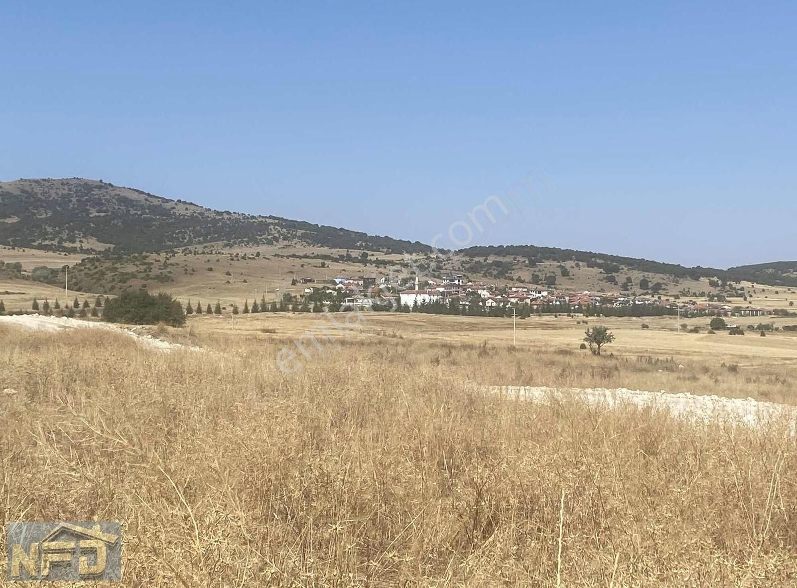 Seyitgazi Sarayören Satılık Tarla Sarayören'de Yeni Köy Alanı Yakını Resmi Yolu Olan Satılık Tarla