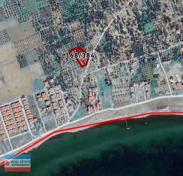Şarköy Eriklice Mah.denize 200 Mt İmar Sınırı 2475m2 Zeytinlik
