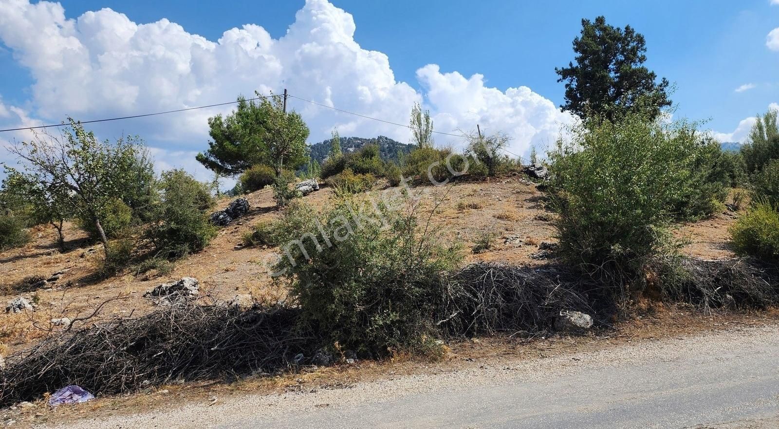 Seydikemer Ceylan Satılık Konut İmarlı Yayla Ceylan İncealiler'de 1175 M2 Köy İçi İmarlı Parsel