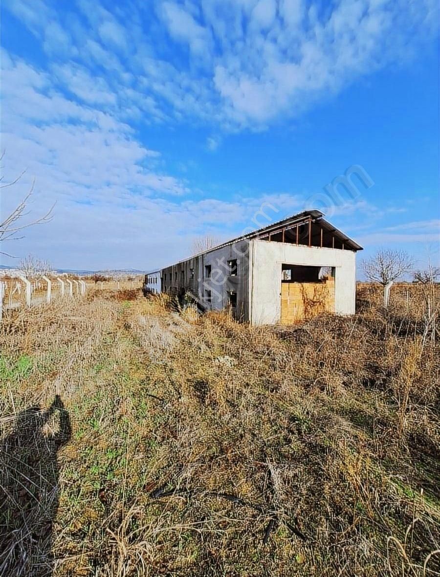 Yunusemre Yağcılar Satılık Tarla Yâğcılar Köyünde Üniversite Ye Yakın Tarla