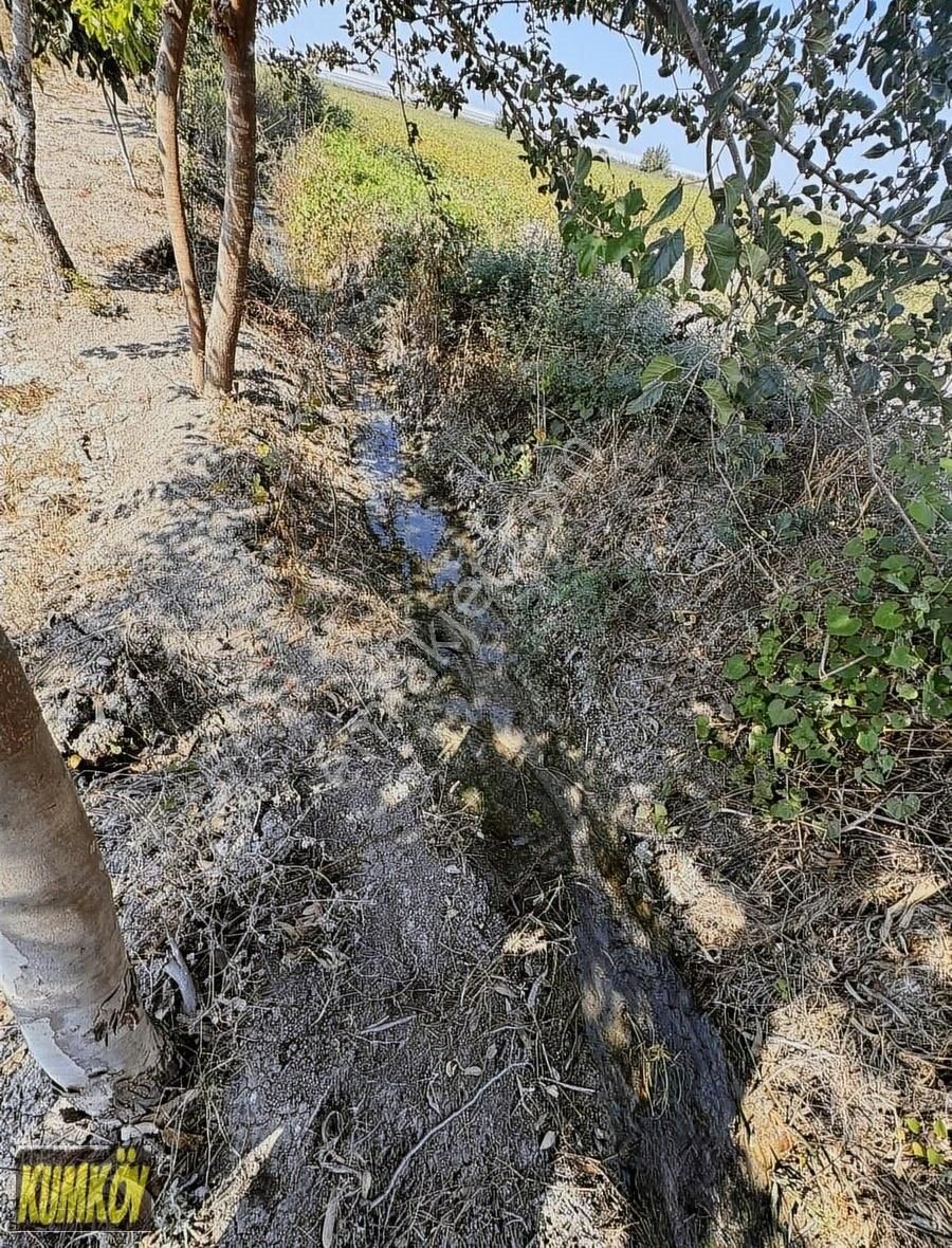 Manavgat Şişeler Satılık Konut İmarlı Ev Yapımına Uygun Yerleşim Alanı İçinde Arsa