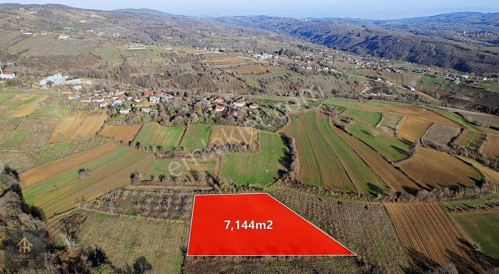 İzmit Gedikli Satılık Tarla Fırsat!!izmit Gediklide Satılık 7.144 M2 Eğimsiz Tarla