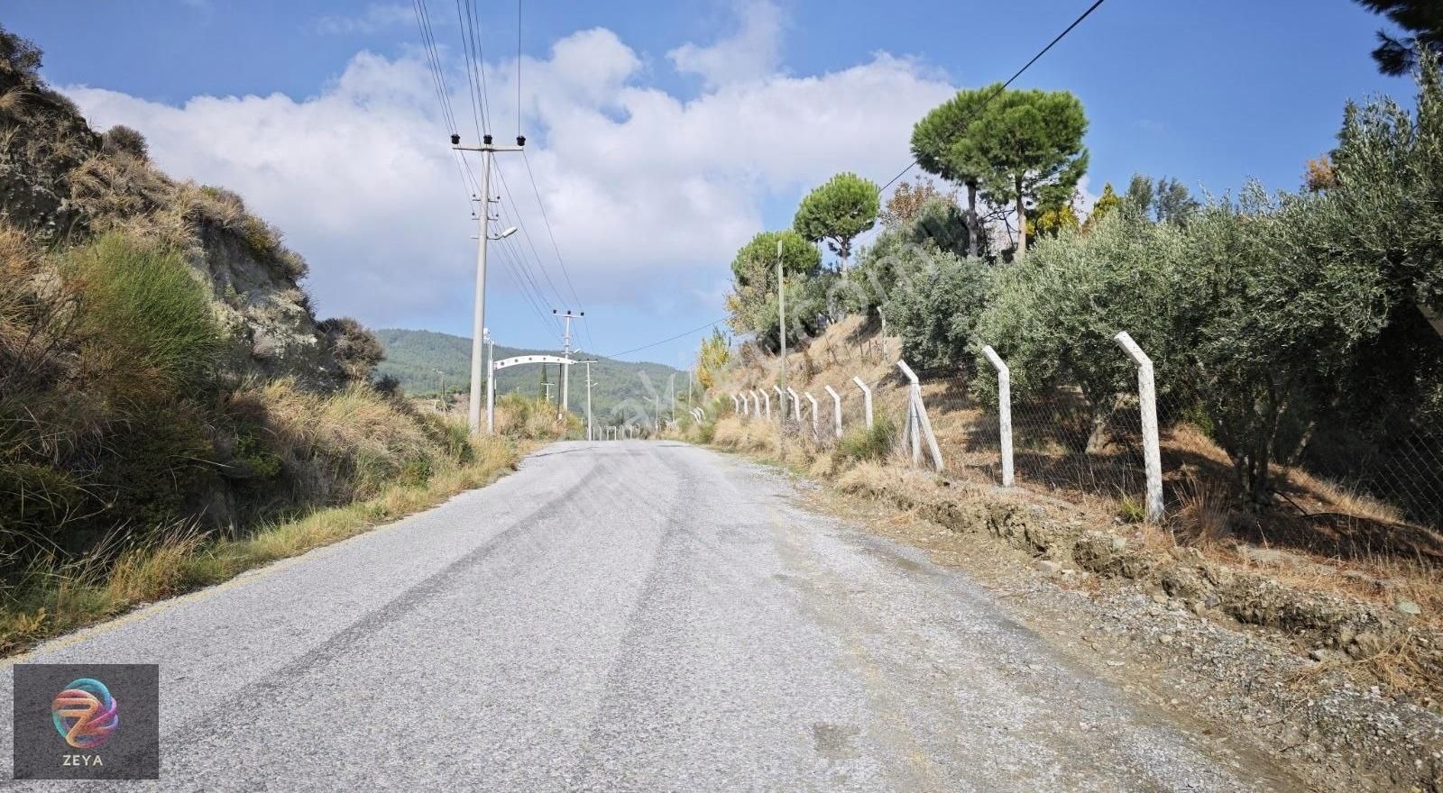 Söke Yamaç Satılık Bağ & Bahçe Yolla Sıfır Cepheli Satılık Zeytinlik Söke Yamaç