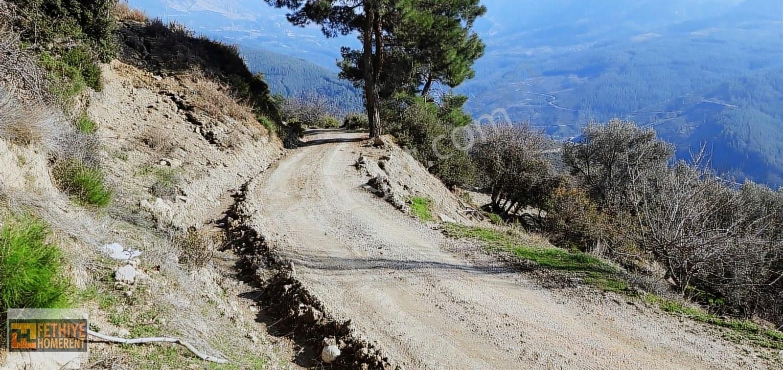 Seydikemer Bayırköy Satılık Tarla Seydikemer Orta Bayır Da Yola Cephe Satılık Tarla