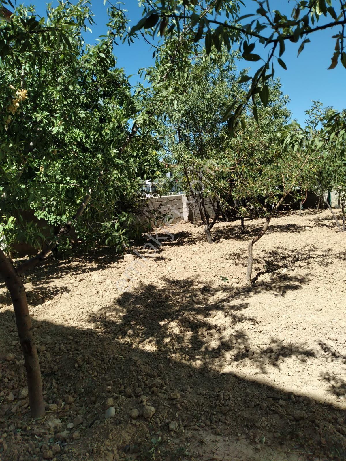 Mustakil Bahceli 2katli Ev - Görsel 12