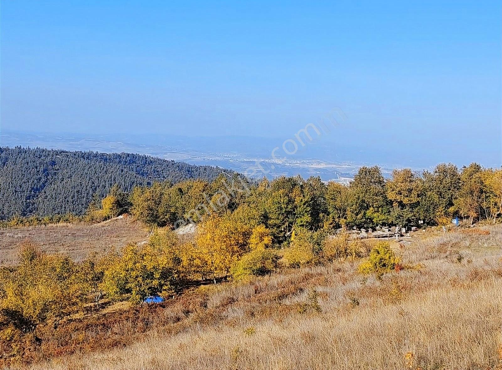 Nilüfer Makşempınarı Satılık Tarla Hanedan'dan Maksempınarda Harika Konumda Arazi