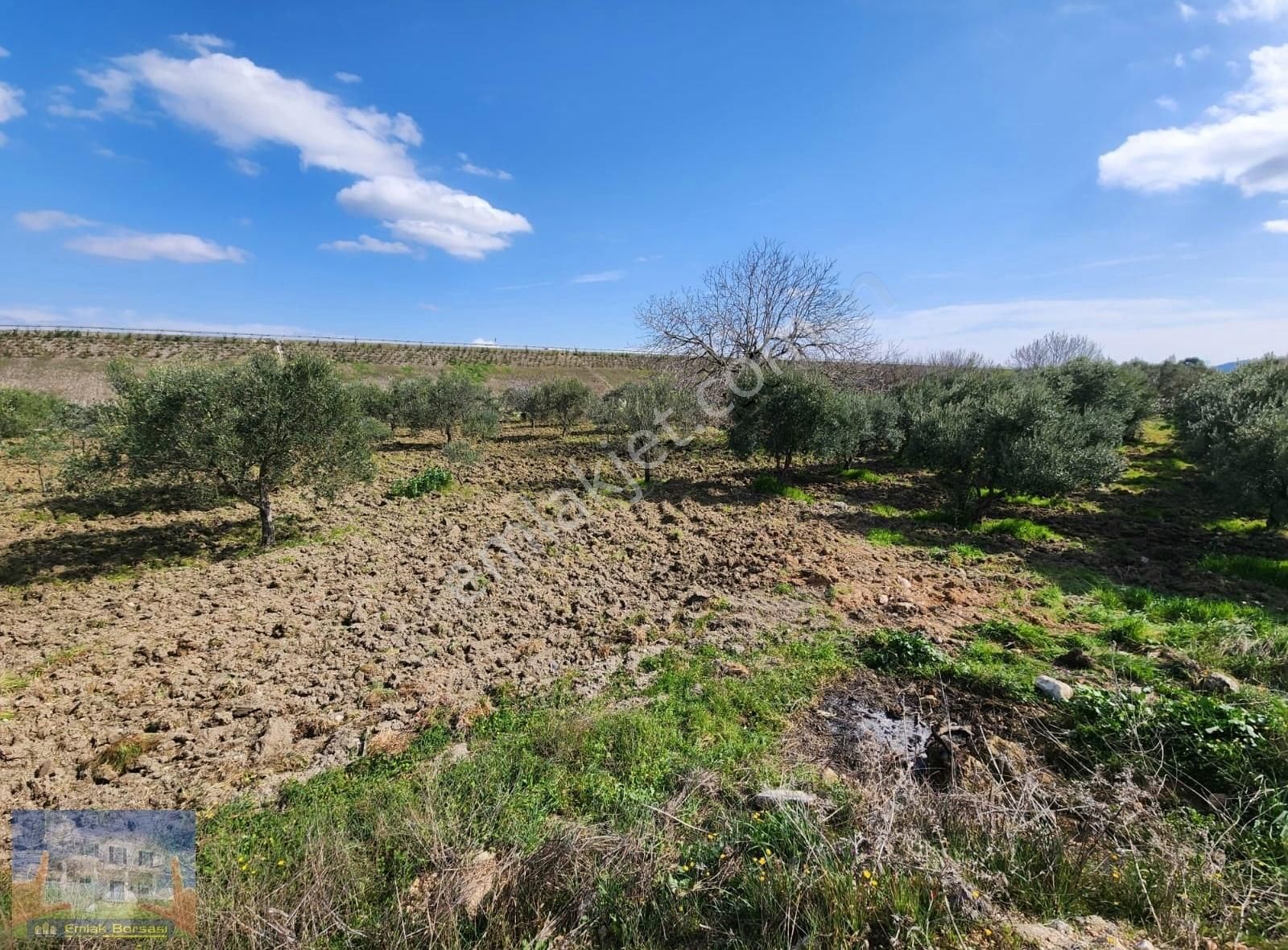 Kırkağaç Bakır Da Turizm İmarlı Ana Yol Üzerinde Arazi. - Görsel 5