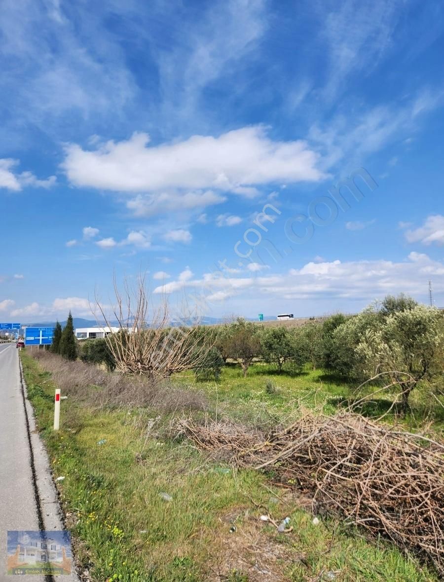 Kırkağaç Bakır Da Turizm İmarlı Ana Yol Üzerinde Arazi. - Görsel 4